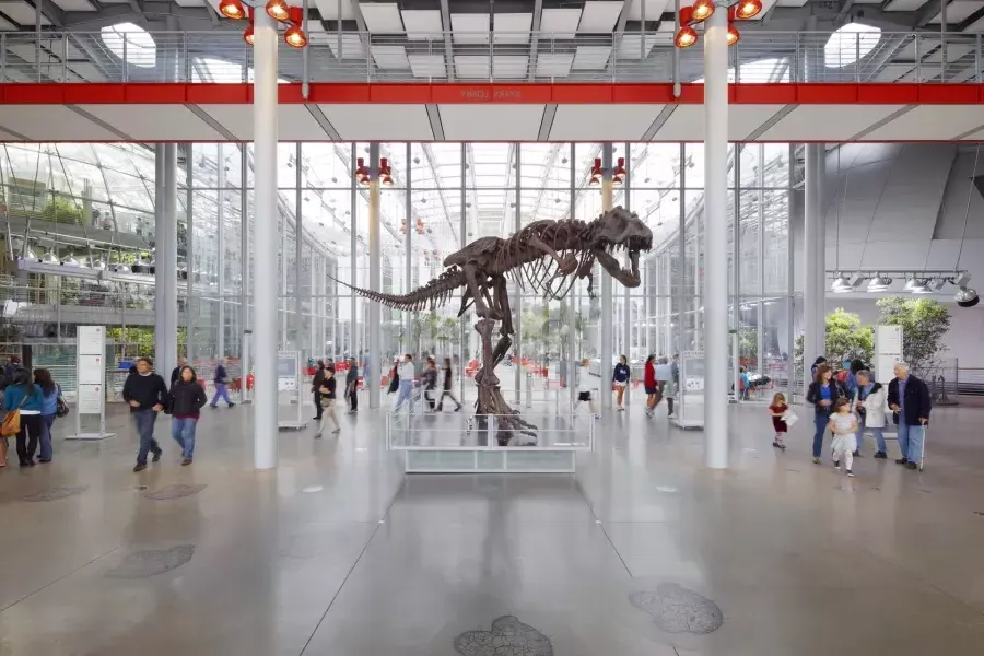 Dinosaur at 的 加州科学院